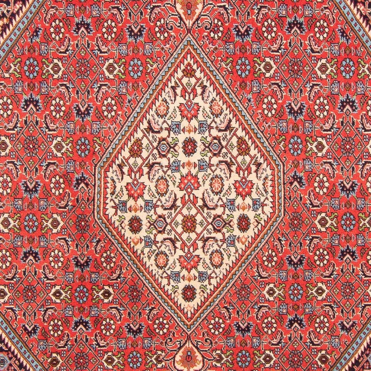 Perserteppich - Bidjar - Royal - 267 x 200 cm - rot
