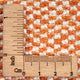 Gabbeh Teppich - Perser - 236 x 218 cm - lachs