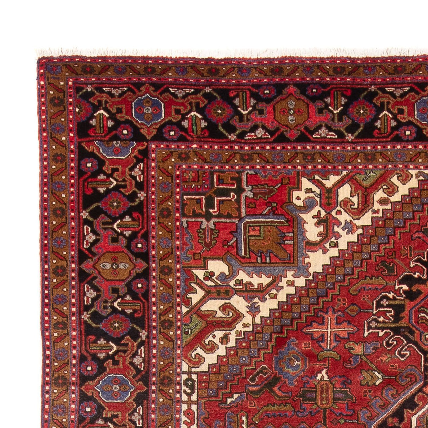 Tapis de Heriz Tapis 340x243cm - Tapis persan