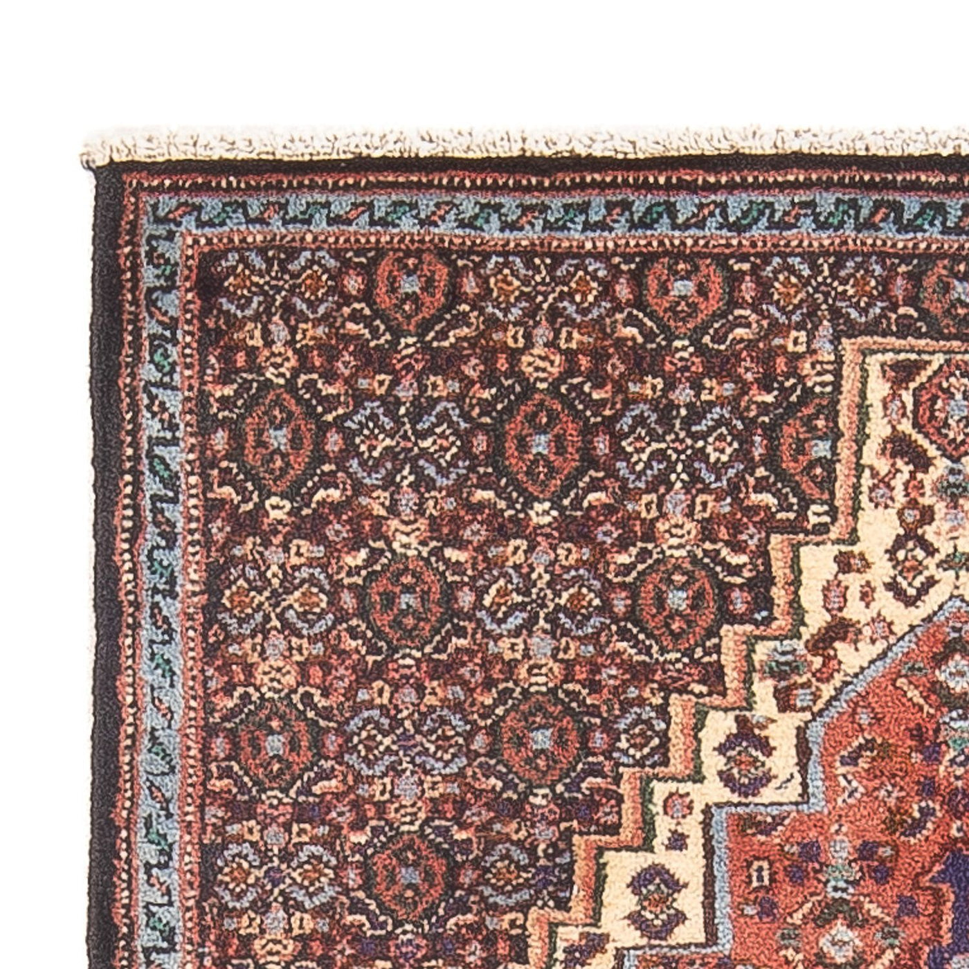 Senneh Tappeto 100x73cm - Tappeto persiano