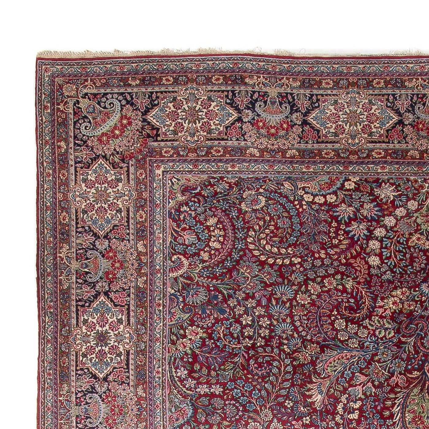 Kerman Tappeto 515x335cm - Tappeto persiano