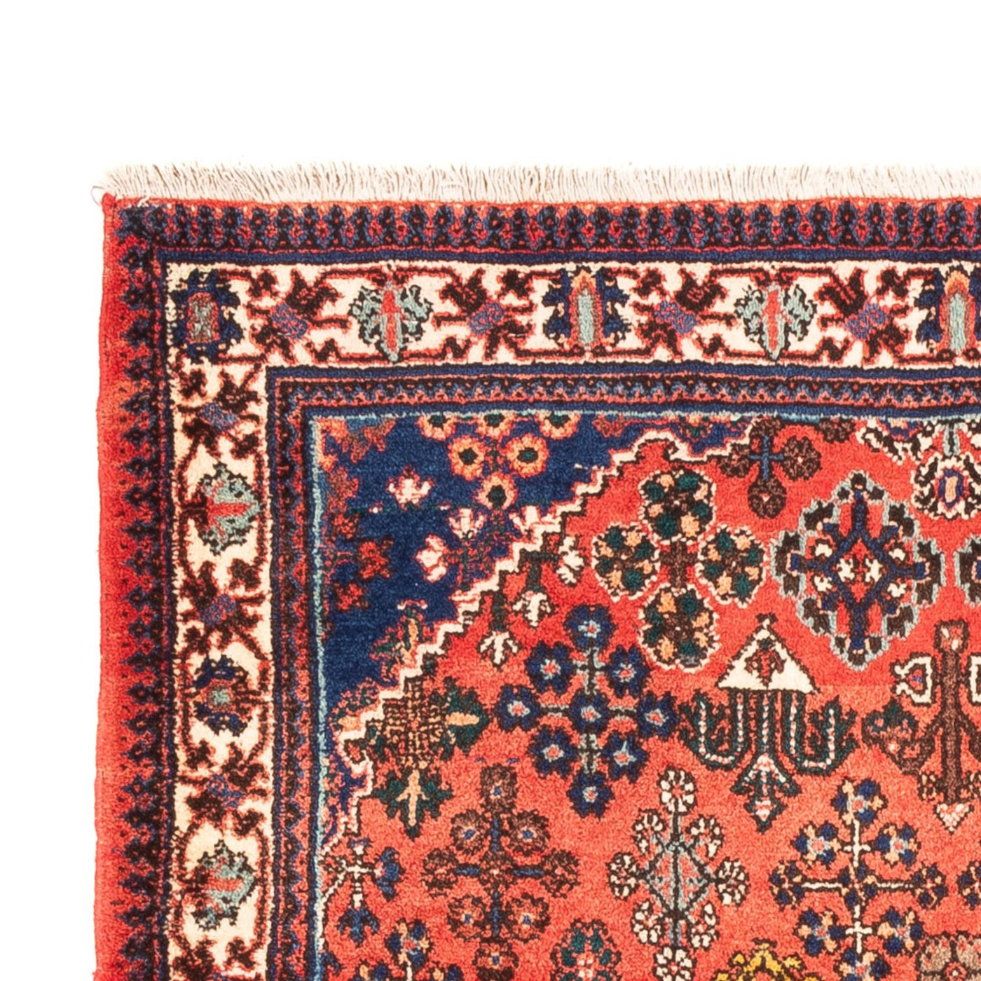 Meymeh Tapis 171x110cm - Tapis persan