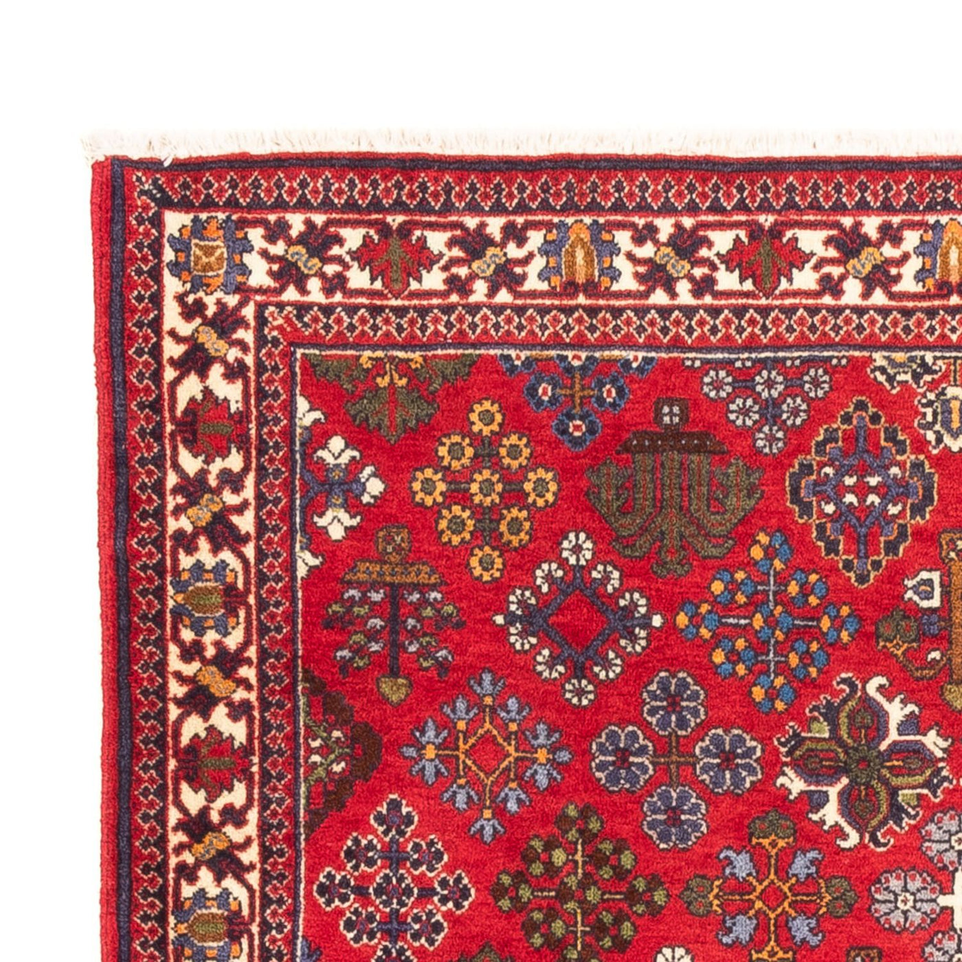 Meymeh Tappeto 168x110cm - Tappeto persiano