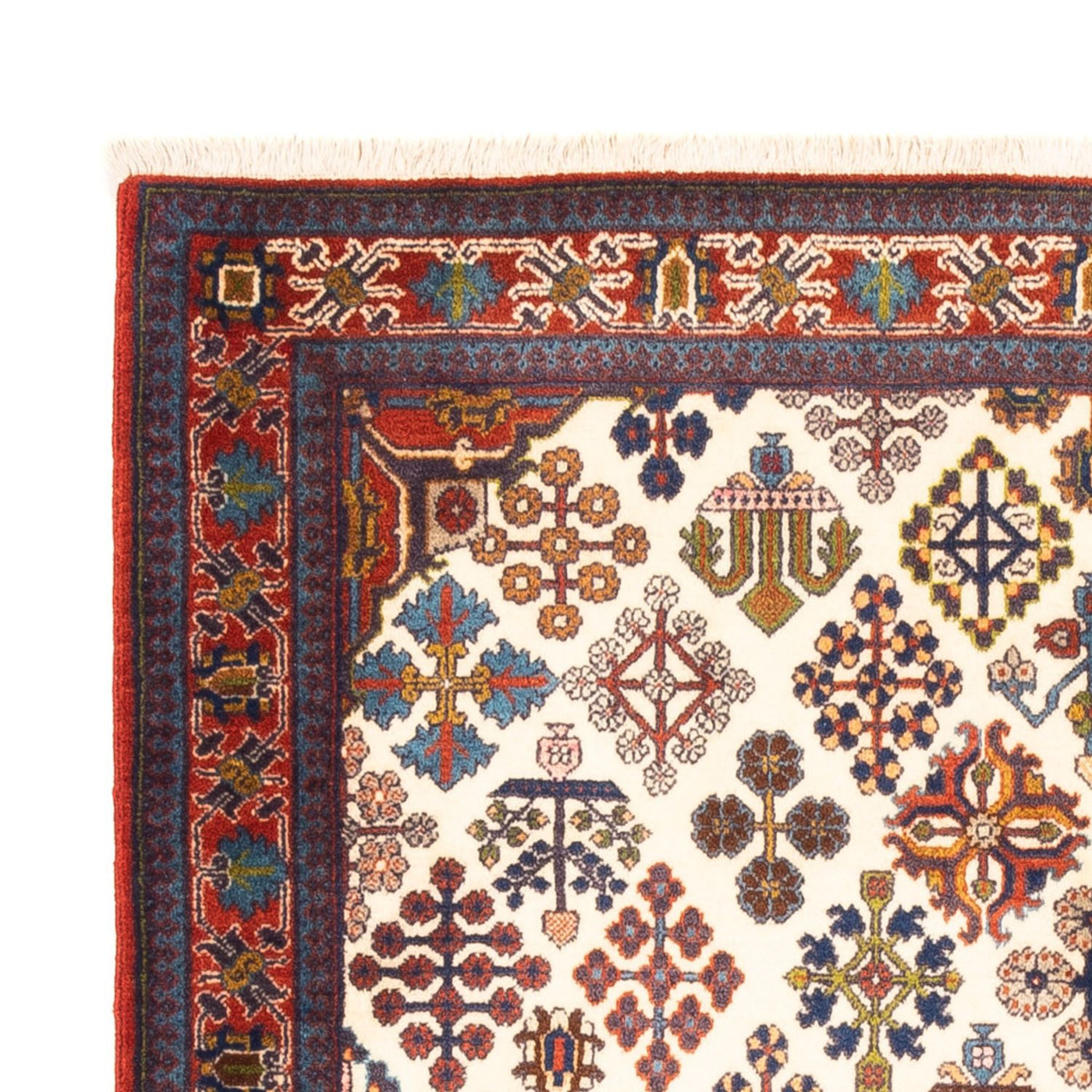 Meymeh Tappeto 178x115cm - Tappeto persiano