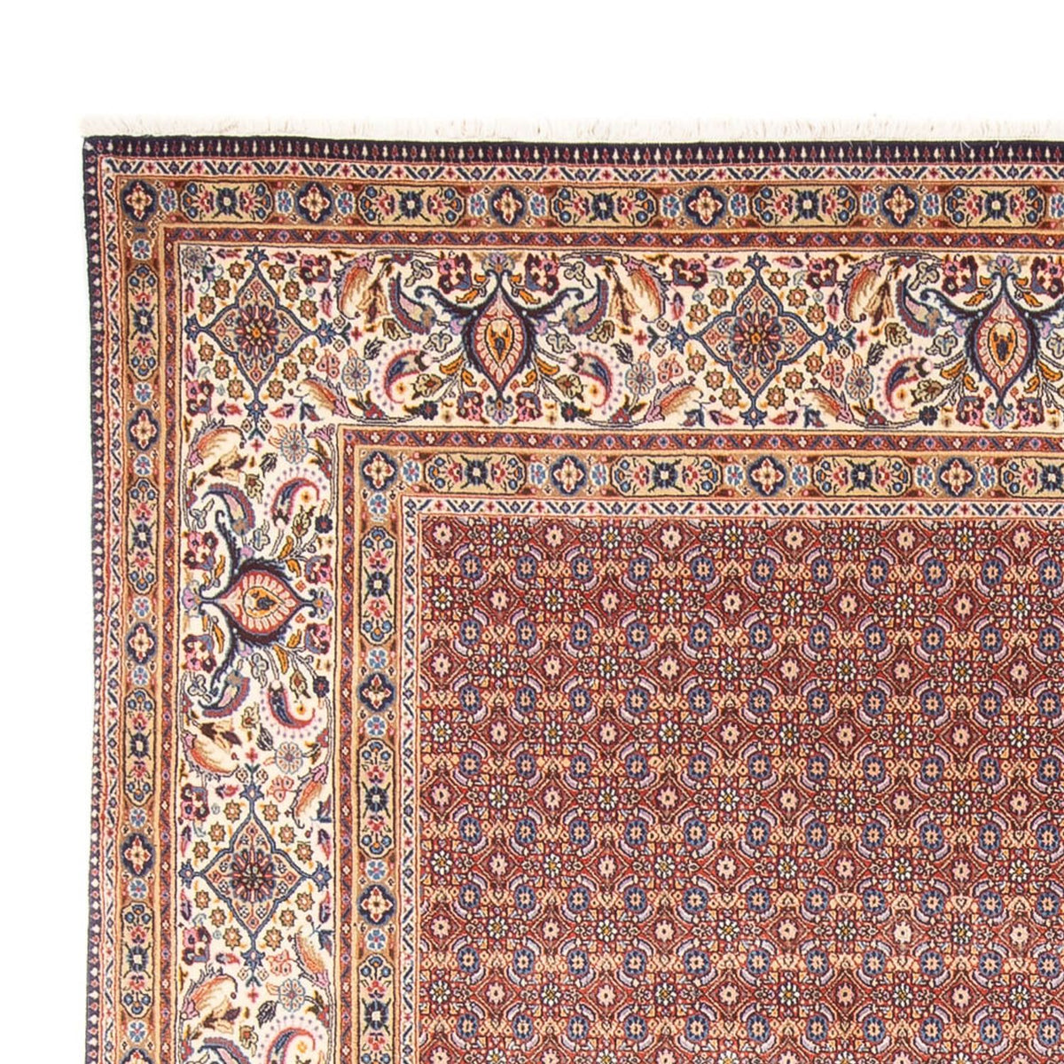 Moud Tappeto 243x294cm - Tappeto persiano