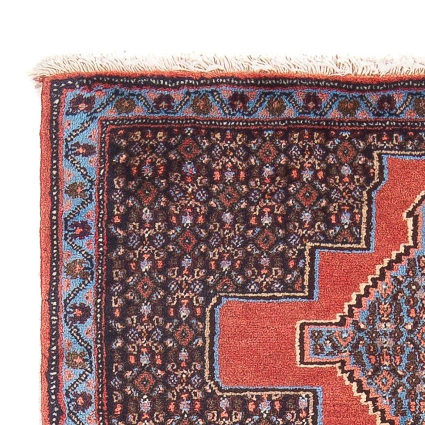 Senneh Tappeto 103x75cm - Tappeto persiano