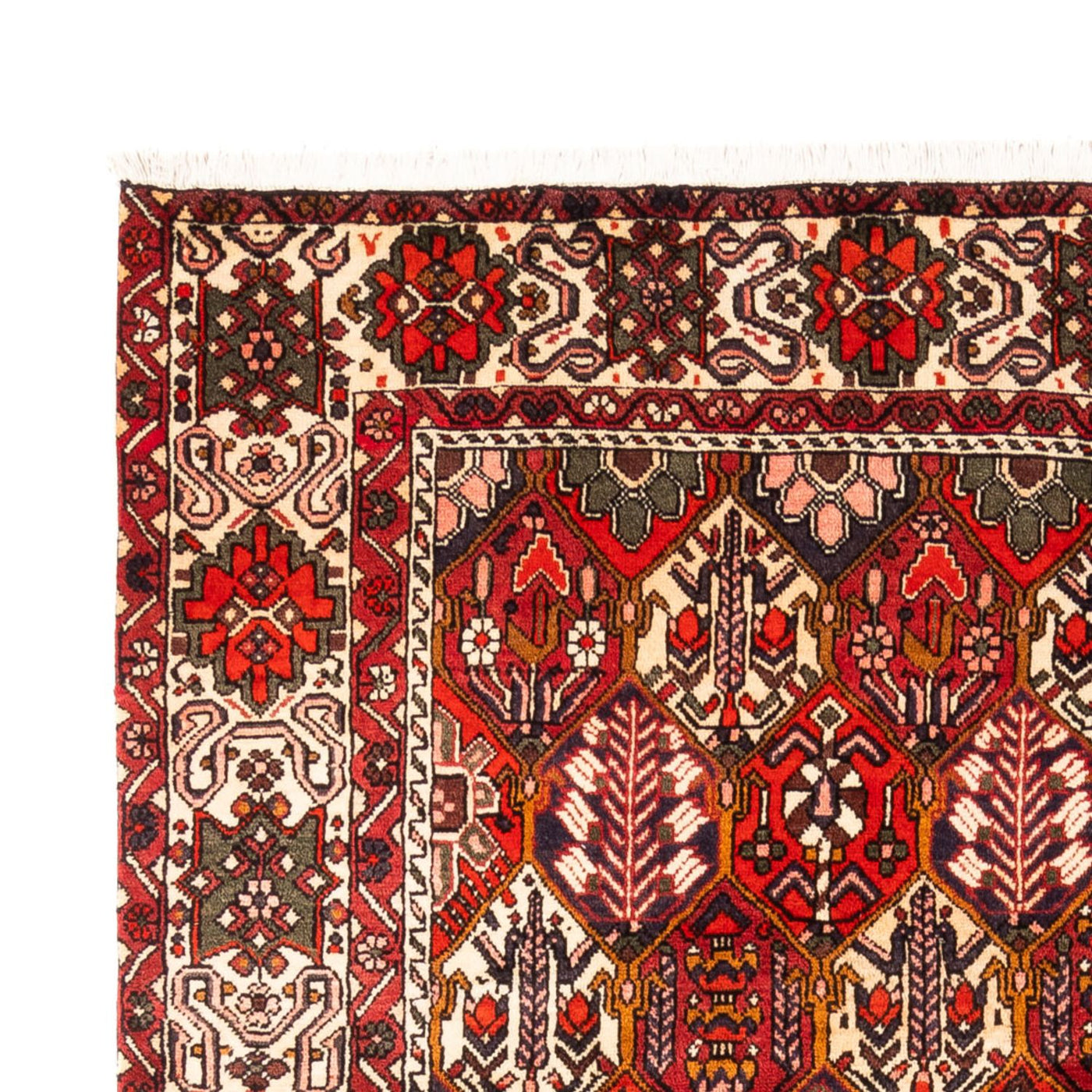 Bachtiar Teppich 310x210cm - Perserteppich