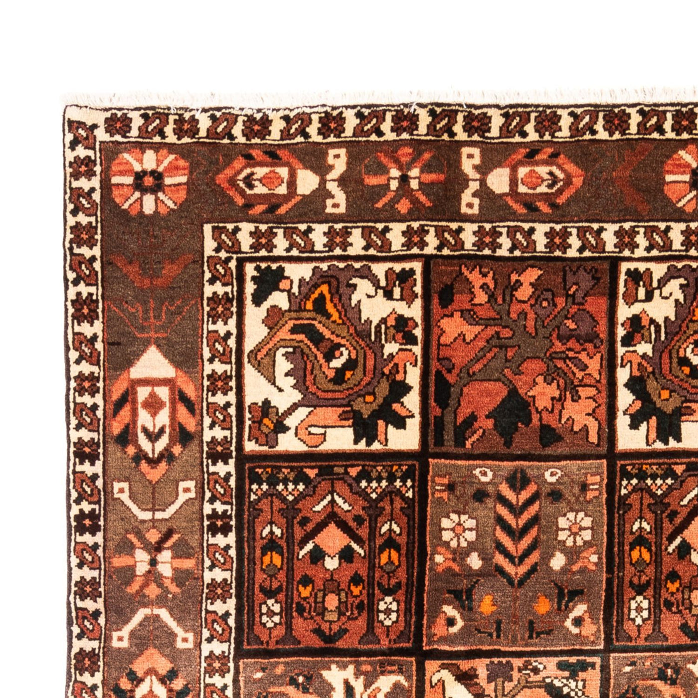 Tapis persan - Nomadic - 307 x 206 cm - multicolore
