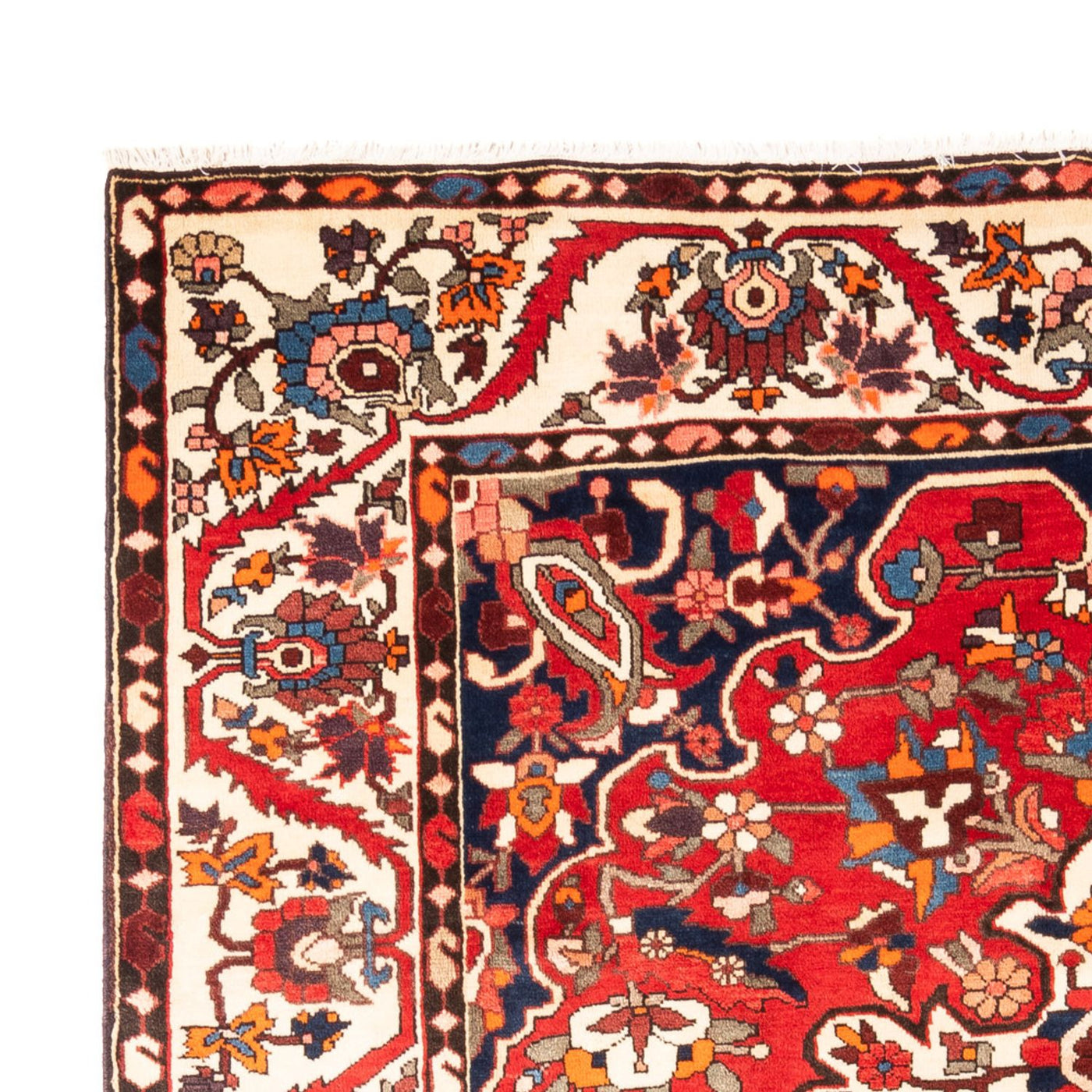 Tapis Bakhtiari Tapis 305x206cm - Tapis persan