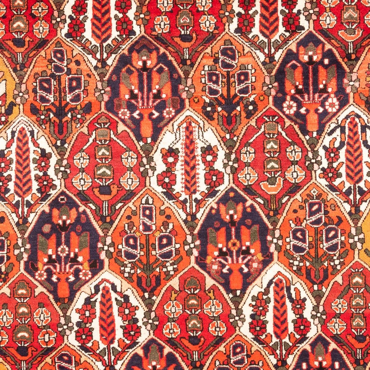 Perserteppich - Nomadic - 300 x 220 cm - mehrfarbig