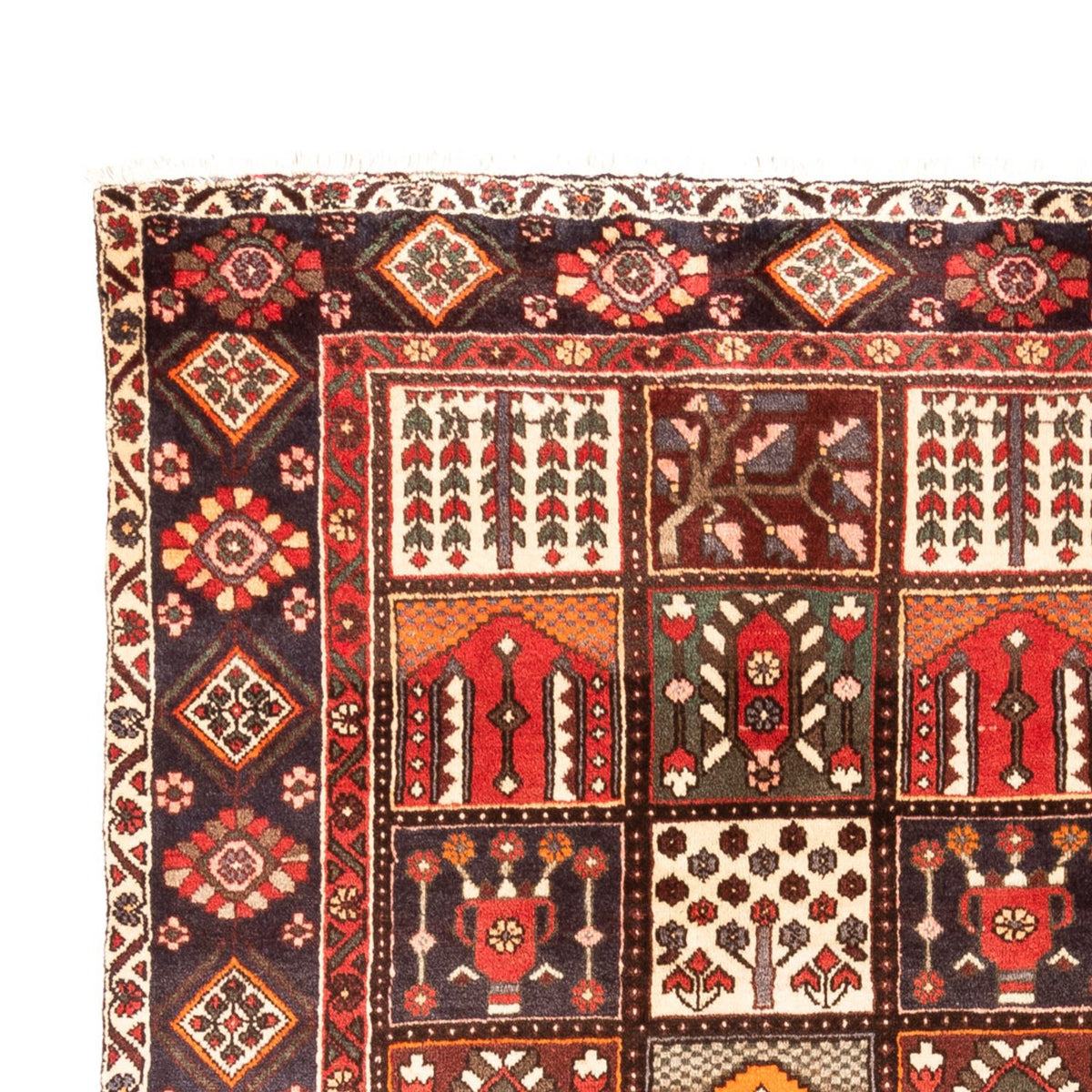 Tapis Bakhtiari Tapis 208x305cm - Tapis persan