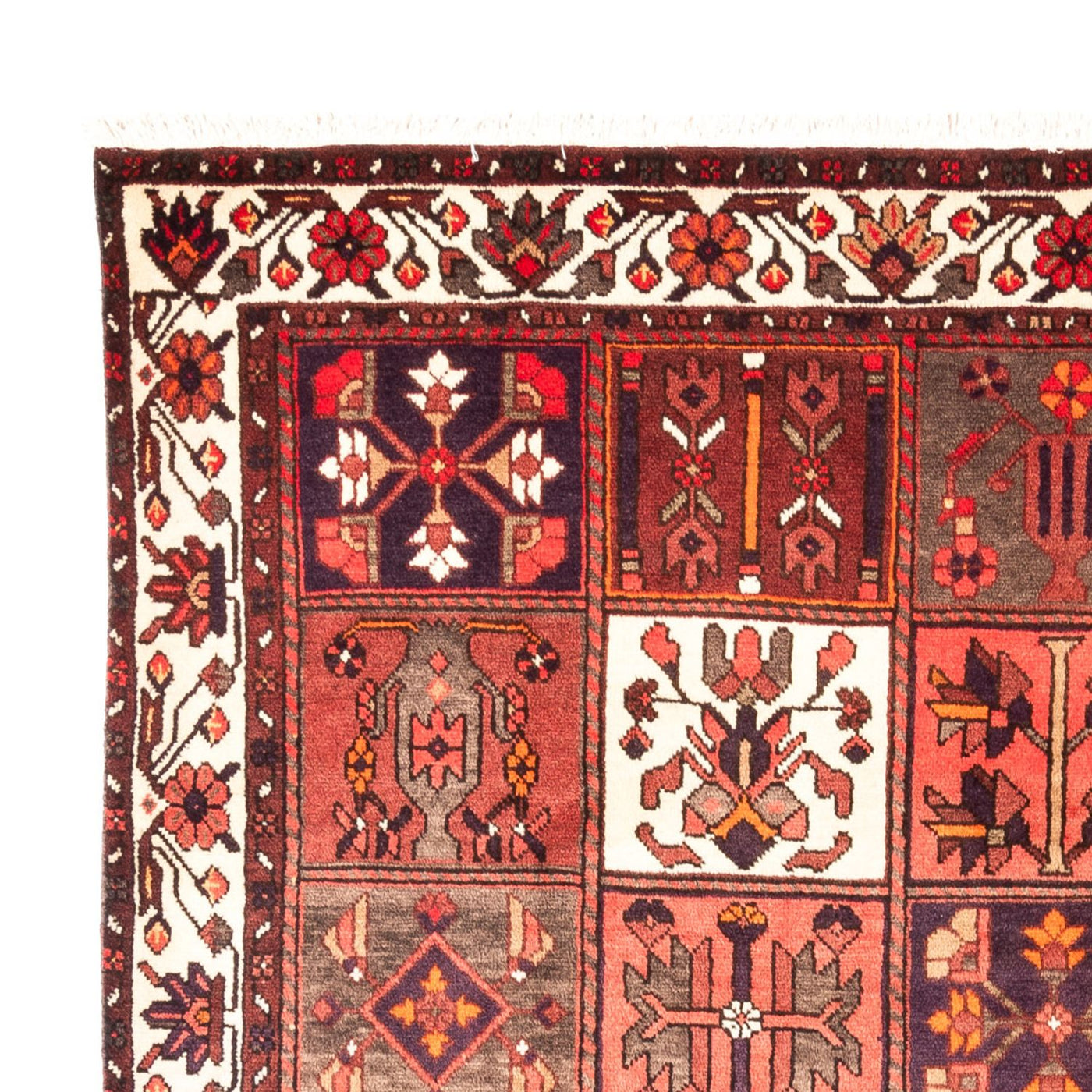Tapis Bakhtiari Tapis 294x210cm - Tapis persan