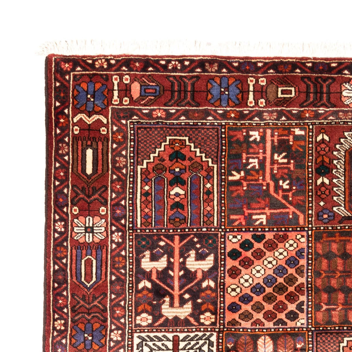 Tapis Bakhtiari Tapis 310x208cm - Tapis persan
