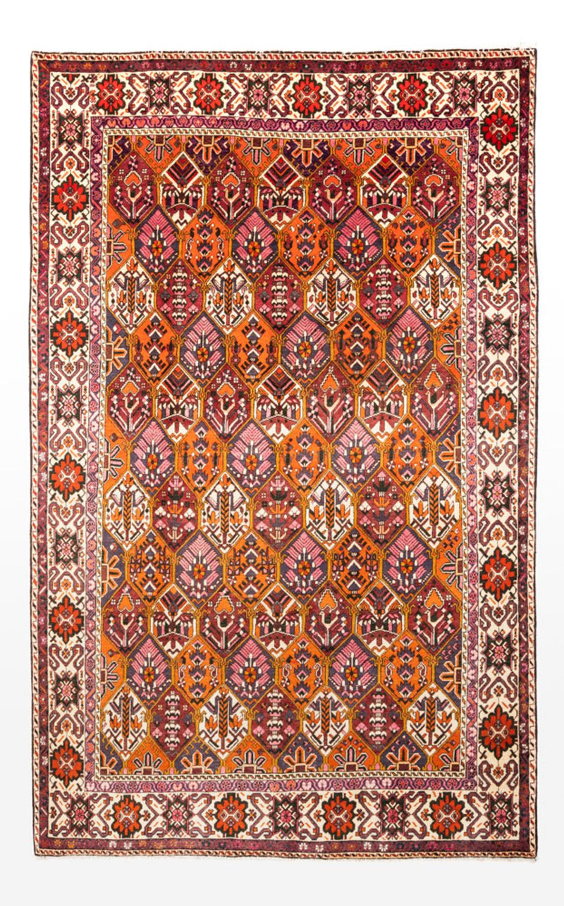 Perserteppich - Nomadic - 310 x 203 cm - mehrfarbig