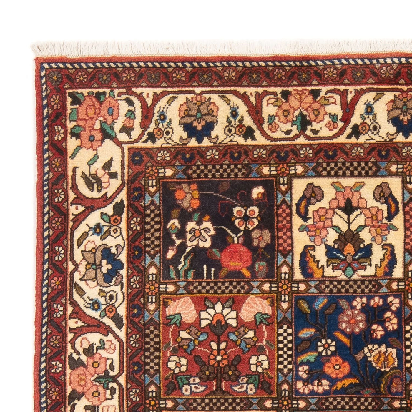 Tapis Bakhtiari Tapis 188x133cm - Tapis persan