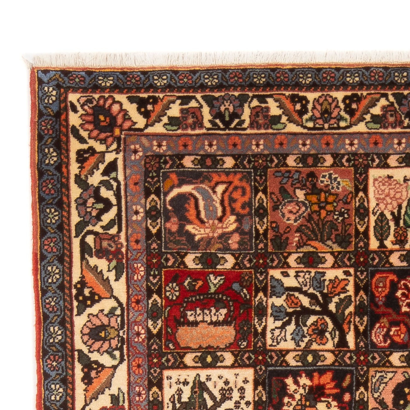 Tapis Bakhtiari Tapis 210x140cm - Tapis persan