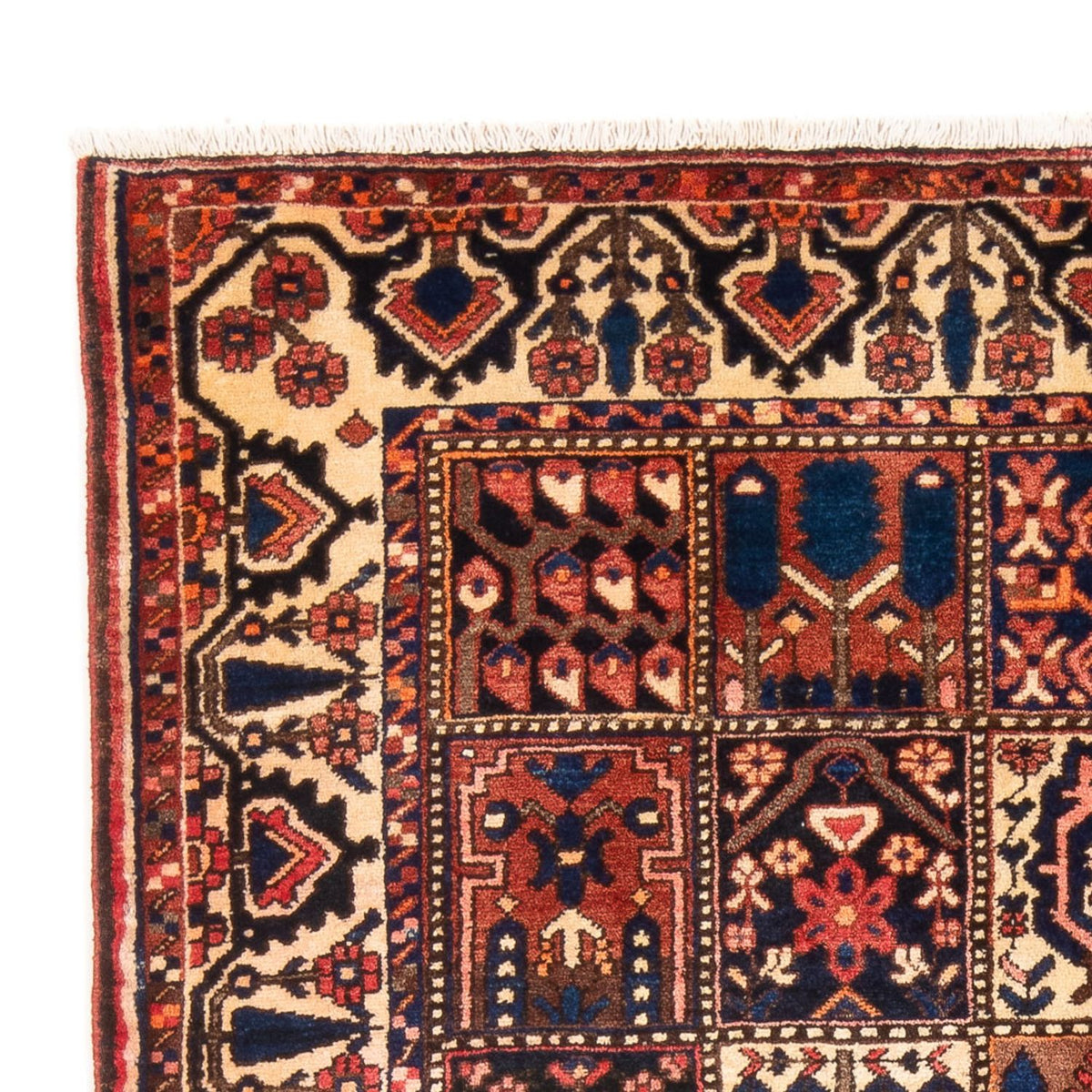 Tapis Bakhtiari Tapis 147x210cm - Tapis persan