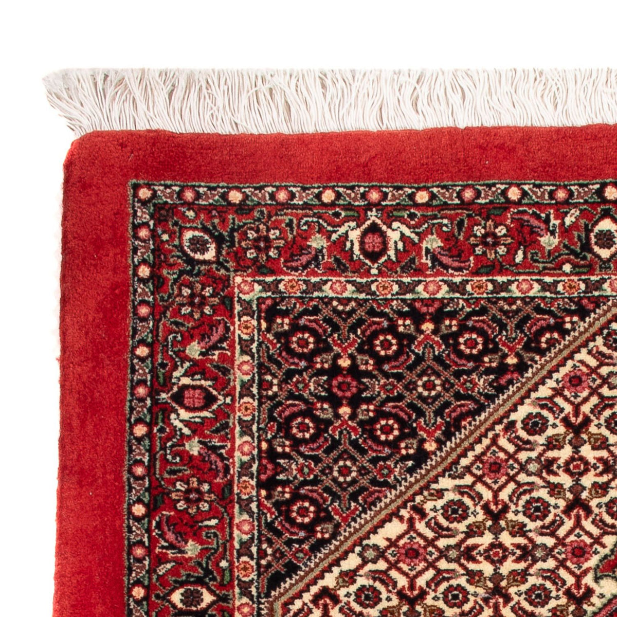 Bidjar - Takab Tappeto 77x90cm - Tappeto persiano - crema