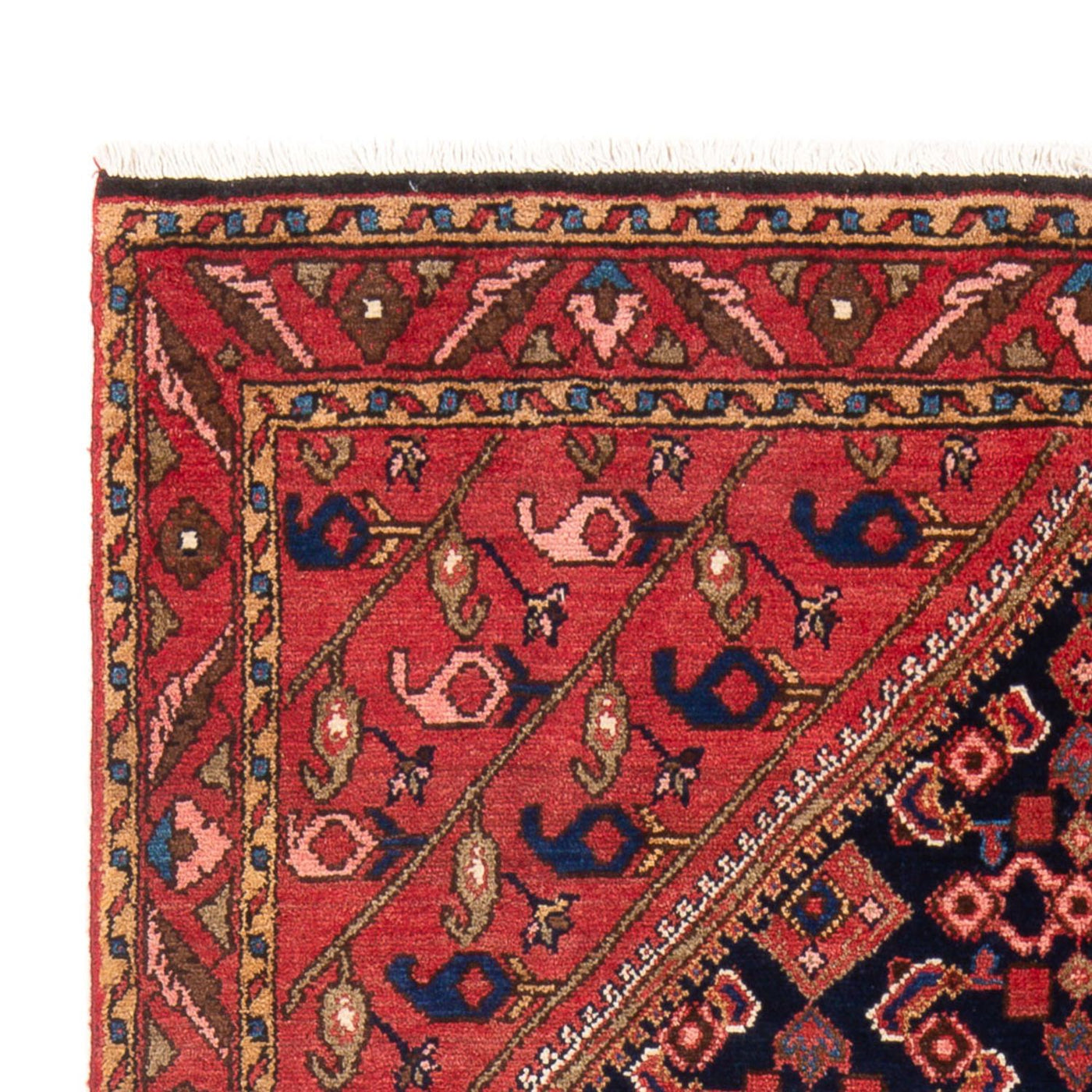 Borchalou Tapis 218x140cm - Tapis persan