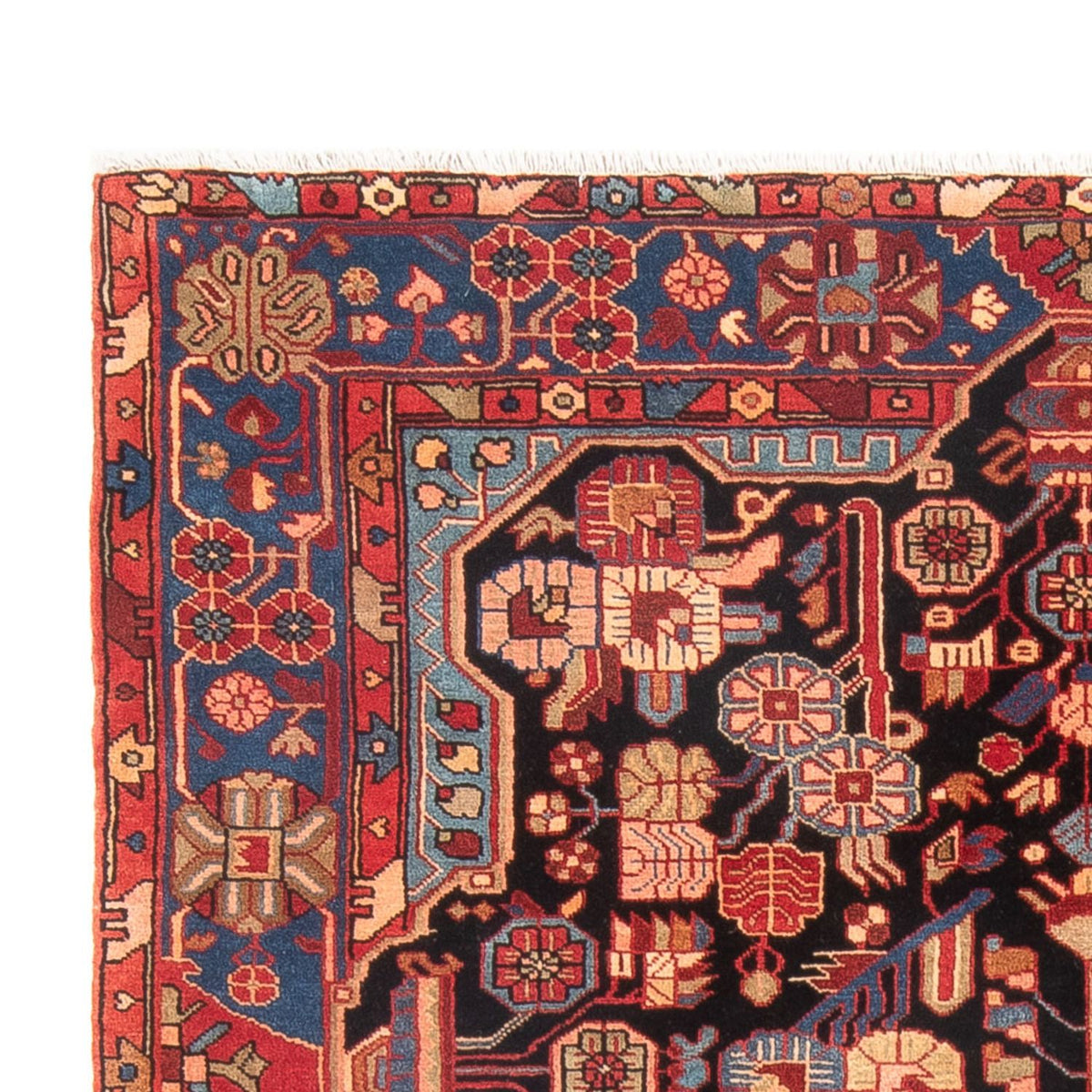 Tapis de Nahavand Tapis 150x244cm - Tapis persan