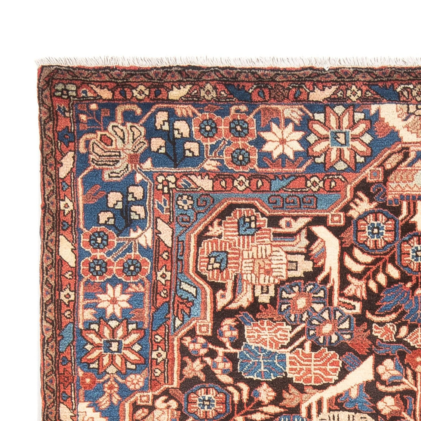 Tapis de Nahavand Tapis 244x155cm - Tapis persan