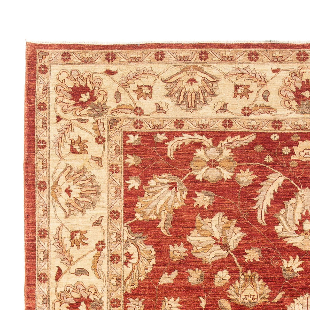 Ziegler Teppich 271x367cm - Orientteppich