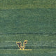 Läufer Gabbeh - Perser - 178 x 82 cm - mehrfarbig
