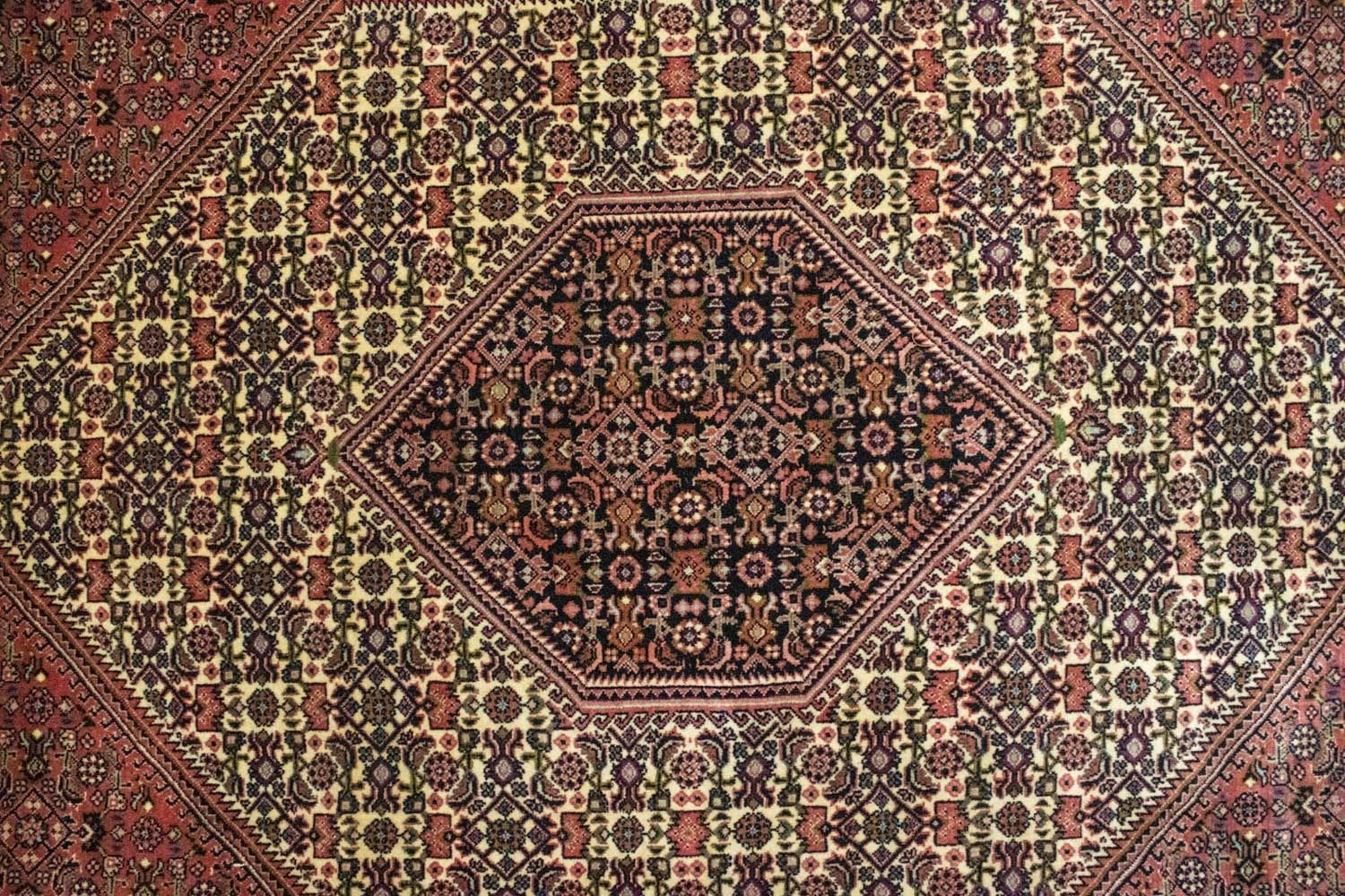 Perserteppich - Bidjar 310 x 207 cm