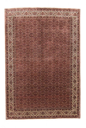 Perserteppich - Bidjar 300 x 204 cm