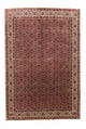 Perserteppich - Bidjar 300 x 204 cm