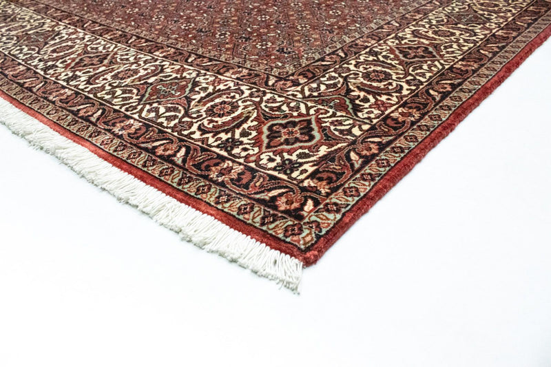 Perserteppich - Bidjar 300 x 204 cm
