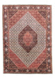 Perserteppich - Bidjar 293 x 205 cm