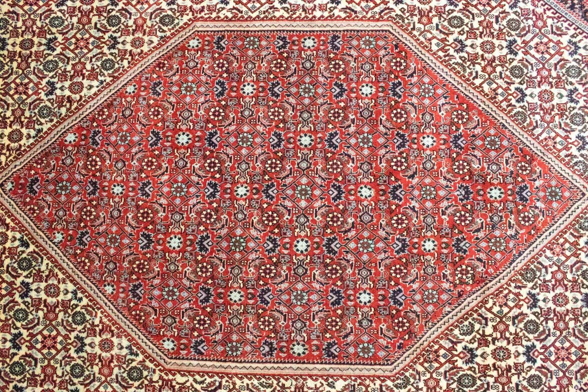 Perserteppich - Bidjar 302 x 203 cm - rot