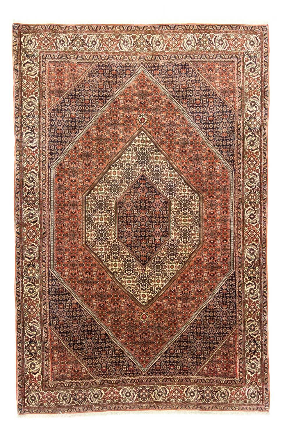 Perserteppich - Bidjar 310 x 202 cm