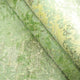 Designer Teppich - 247 x 175 cm - grün