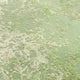 Designer Teppich - 280 x 152 cm - grün