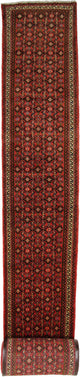 Tapis de Hosseinabad Tapis 80x980cm - Tapis persan