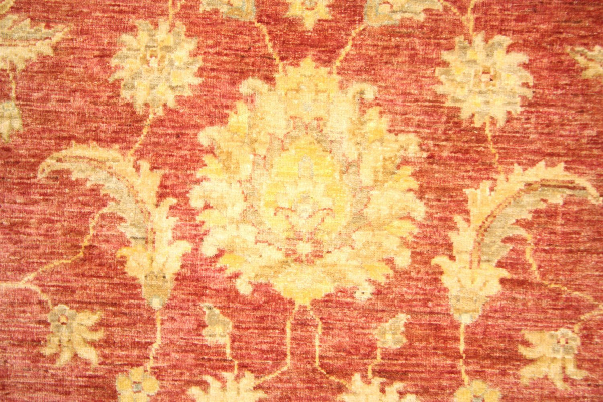 Ziegler Teppich 239 x 164 cm - gold