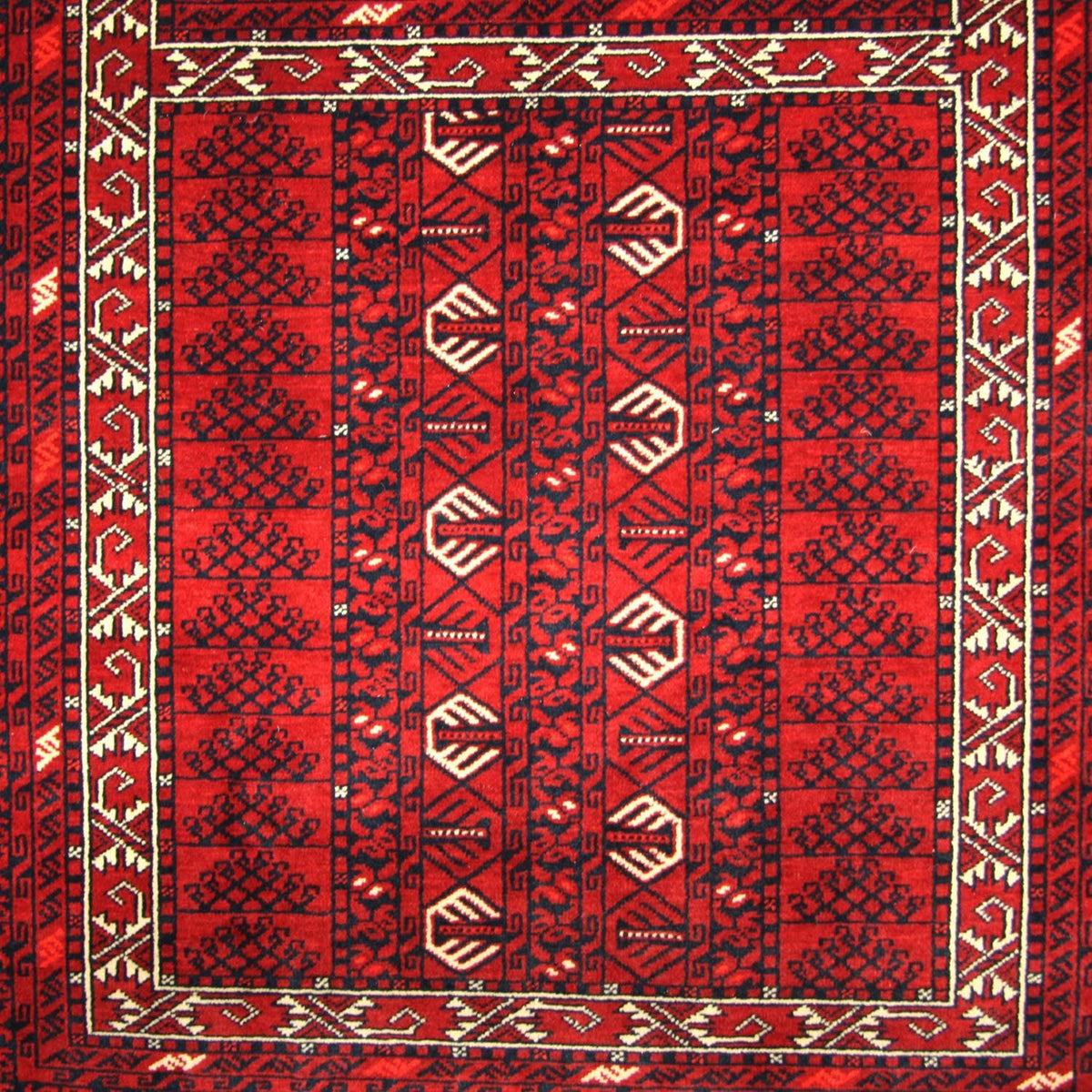 Afghan Teppich 252 x 166 cm - rot