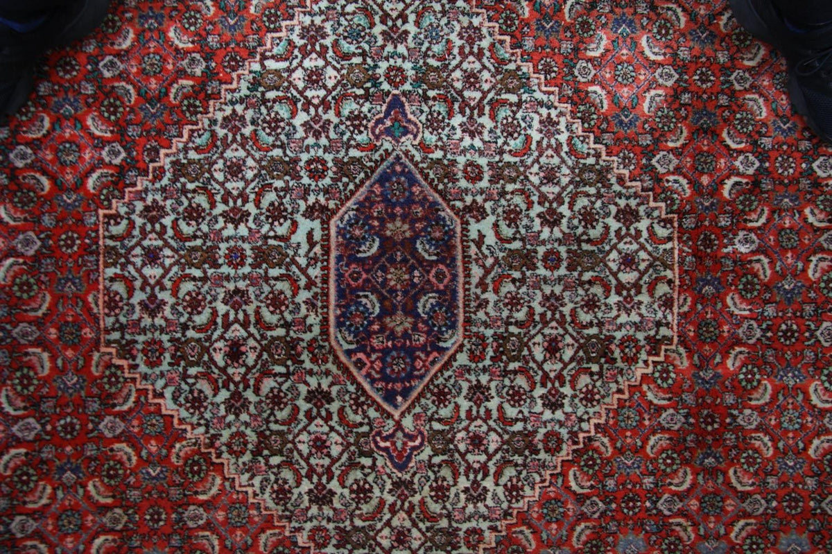 Perserteppich - Bidjar 335 x 245 cm - braun