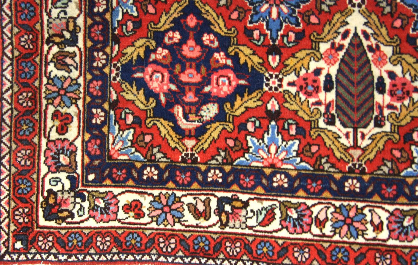 Tapis Bakhtiari Tapis 155x104cm - Tapis persan