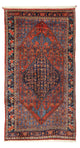 Bidjar Teppich 257x143cm - Perserteppich