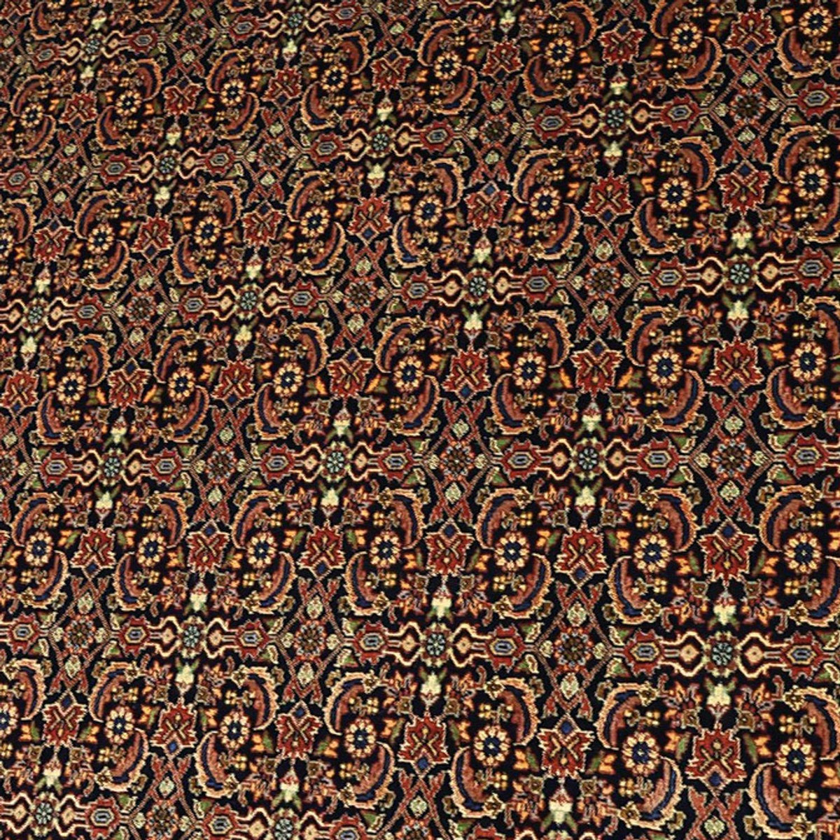 Perserteppich - Bidjar - Royal - 342 x 252 cm - terrakotta