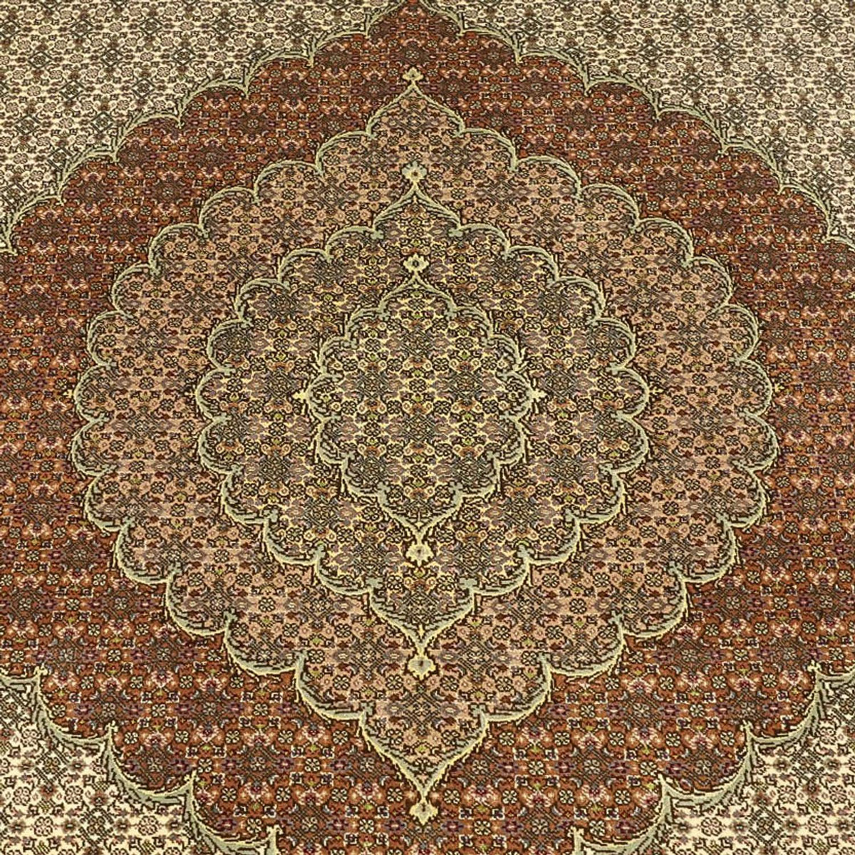 Perserteppich - Täbriz - Royal - Royal - 336 x 252 cm - taupe