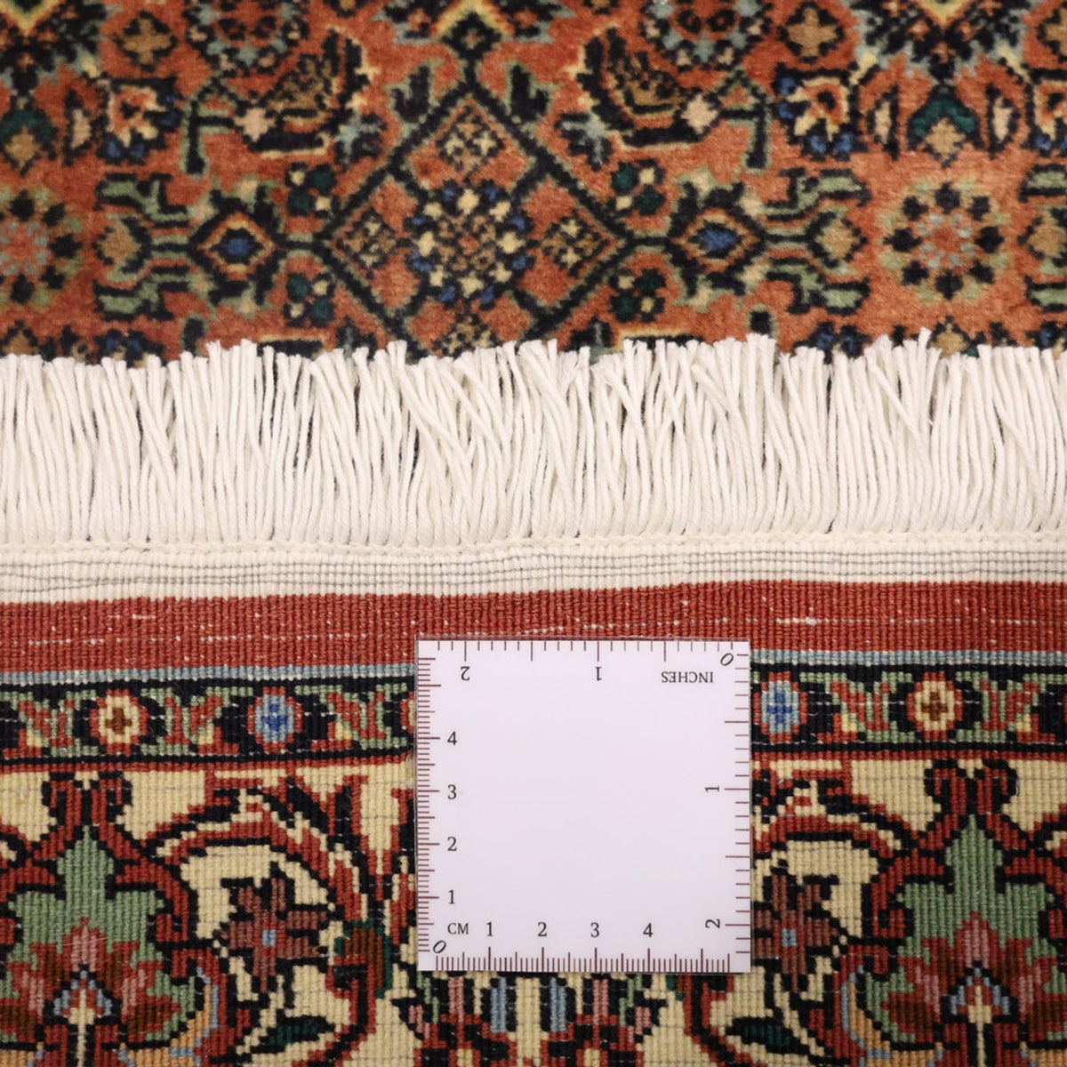 Perserteppich - Bidjar - 144 x 71 cm - dunkelbeige