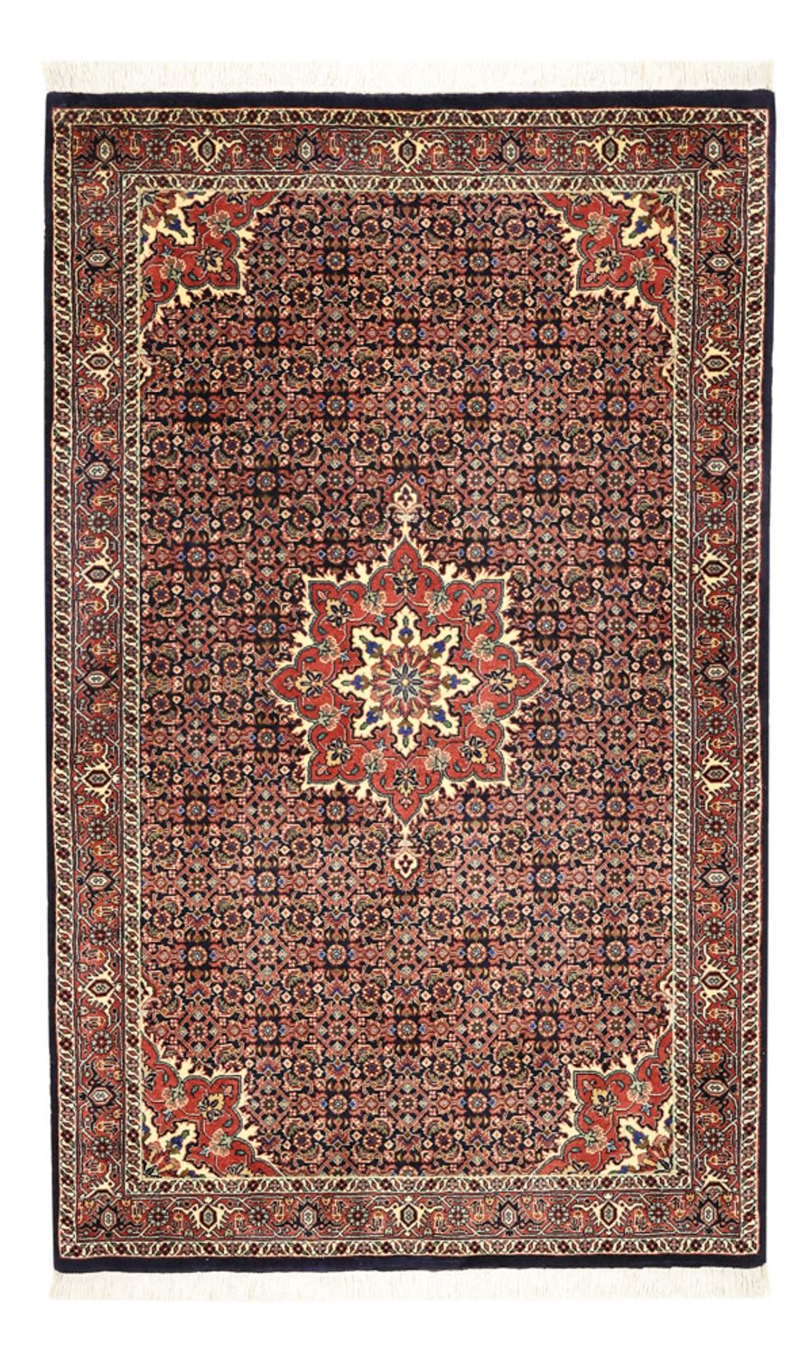Perserteppich - Bidjar - 146 x 90 cm - dunkelbeige