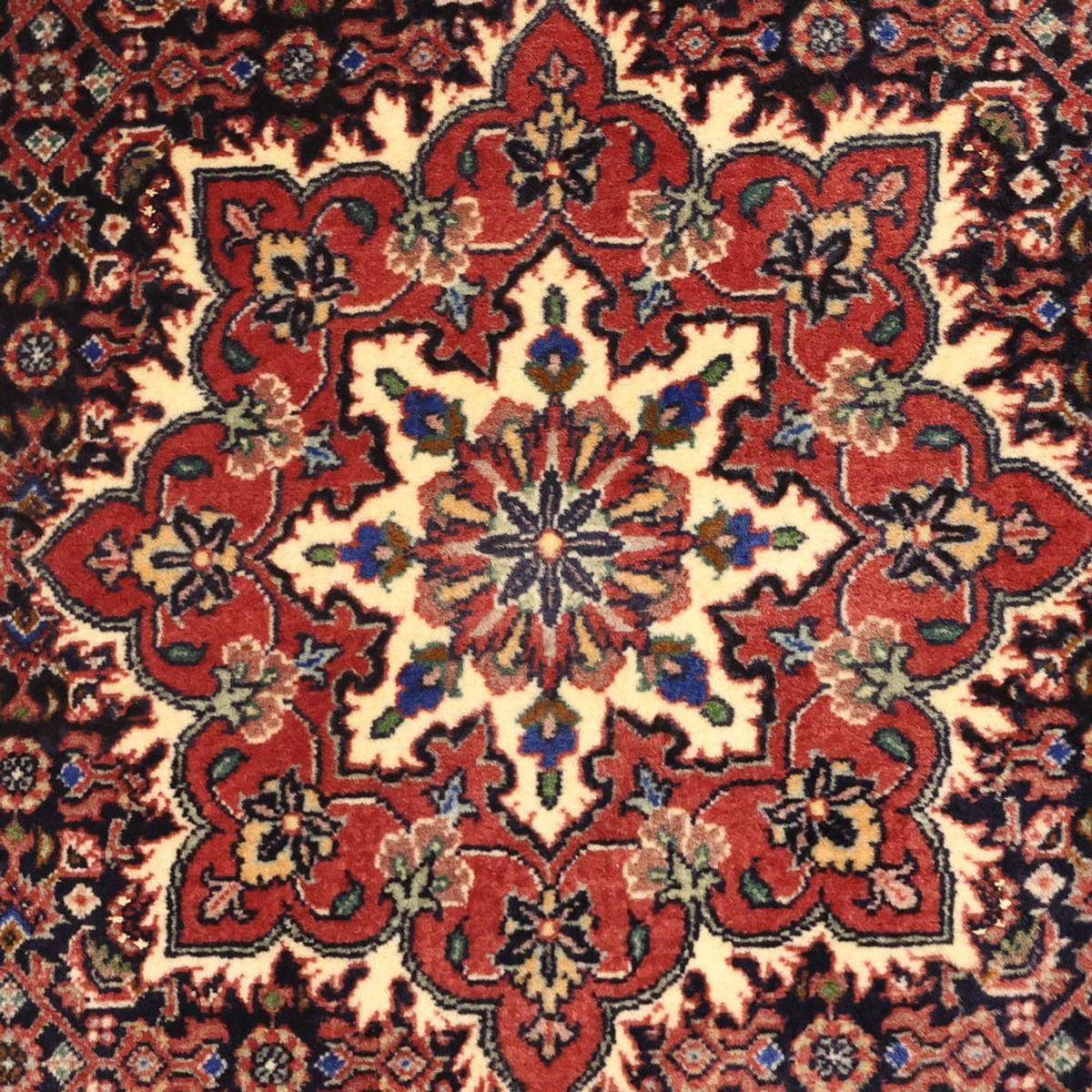 Perserteppich - Bidjar - 146 x 90 cm - dunkelbeige