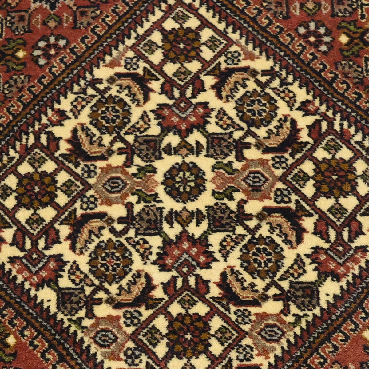 Läufer Perser - Bidjar - 297 x 82 cm - terrakotta