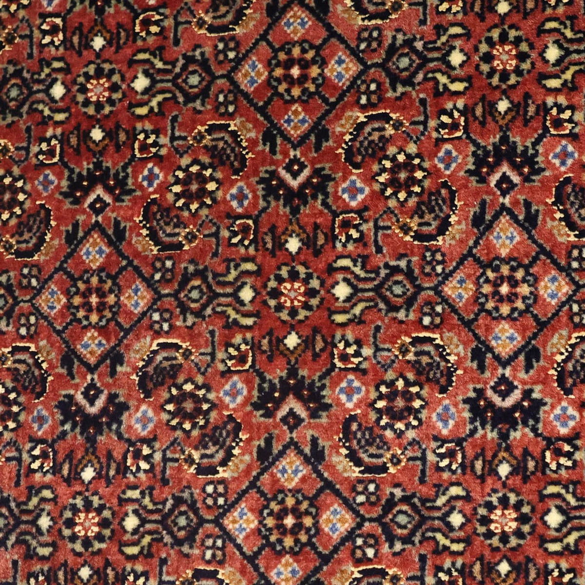 Perserteppich - Bidjar - 142 x 72 cm - dunkelbeige