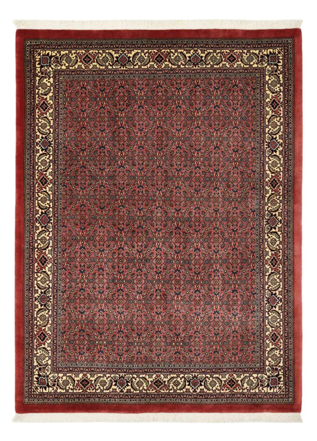 Perserteppich - Bidjar - Royal - 204 x 152 cm - dunkelbeige